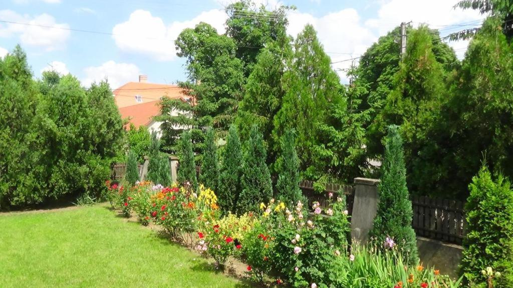 Hotel Rozsakert Vendeghaz Romhány Exterior foto