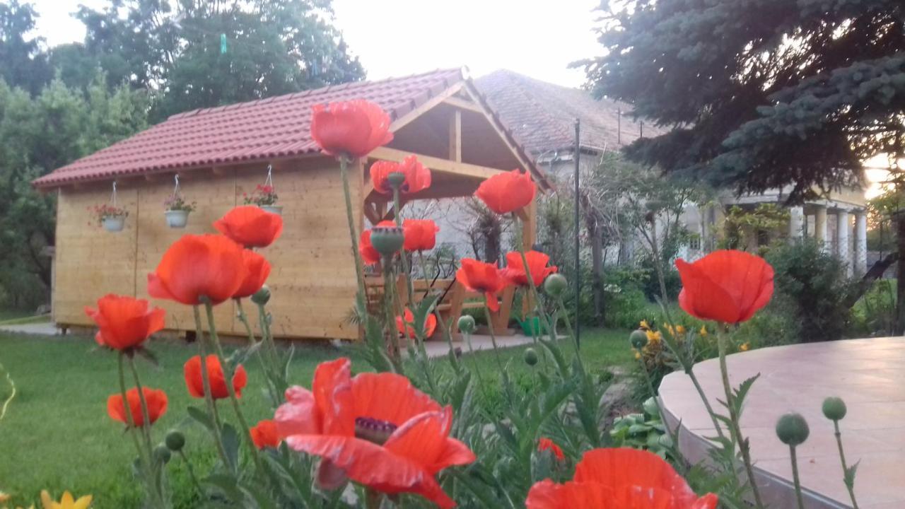 Hotel Rozsakert Vendeghaz Romhány Exterior foto